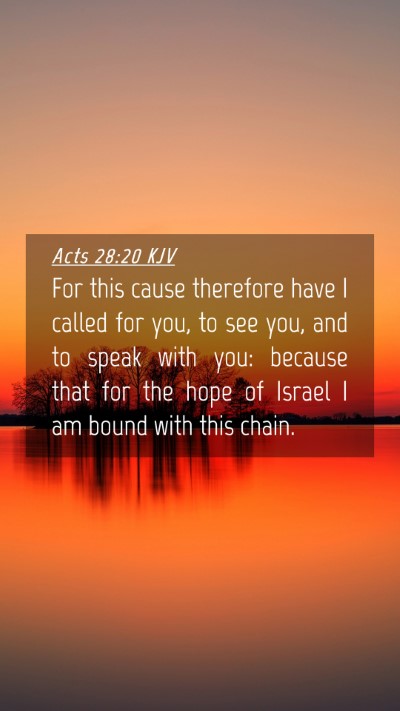 Picture 04 - Acts 28:20 KJV Mobile Phone Wallpaper - For this cause therefore have I called for you, - Mobile Bible Verse Wallpaper
