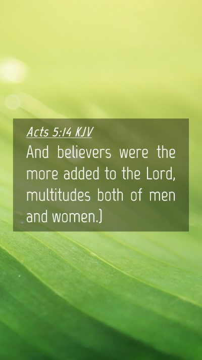 Picture 04 - Acts 5:14 KJV Mobile Phone Wallpaper - And believers were the more added to the Lord, - Mobile Bible Verse Wallpaper