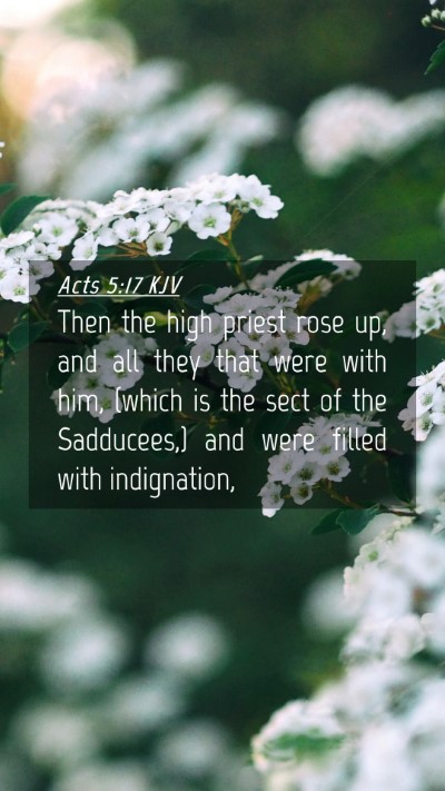 Picture 04 - Acts 5:17 KJV Mobile Phone Wallpaper - Then the high priest rose up, and all they that - Mobile Bible Verse Wallpaper