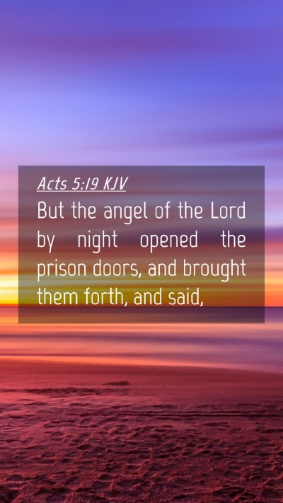 Picture 04 - Acts 5:19 KJV Mobile Phone Wallpaper - But the angel of the Lord by night opened the - Mobile Bible Verse Wallpaper