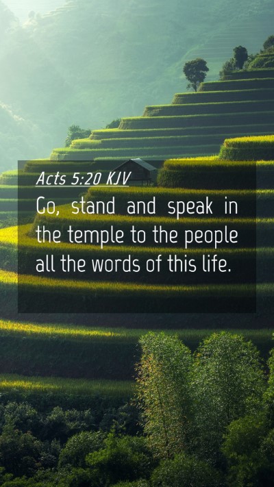 Picture 04 - Acts 5:20 KJV Mobile Phone Wallpaper - Go, stand and speak in the temple to the people - Mobile Bible Verse Wallpaper