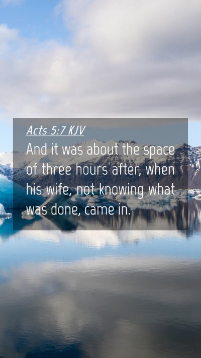 Picture 04 - Acts 5:7 KJV Mobile Phone Wallpaper - And it was about the space of three hours after, - Mobile Bible Verse Wallpaper