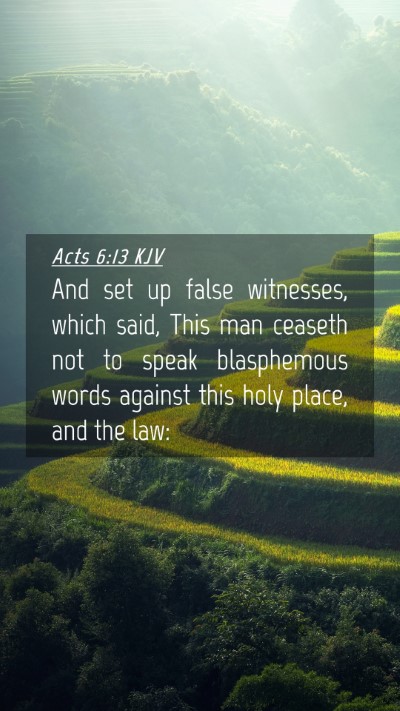 Picture 04 - Acts 6:13 KJV Mobile Phone Wallpaper - And set up false witnesses, which said, This man - Mobile Bible Verse Wallpaper