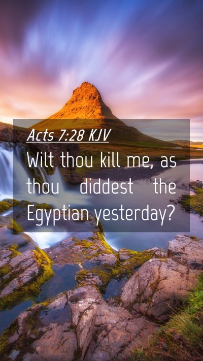 Picture 04 - Acts 7:28 KJV Mobile Phone Wallpaper - Wilt thou kill me, as thou diddest the Egyptian - Mobile Bible Verse Wallpaper