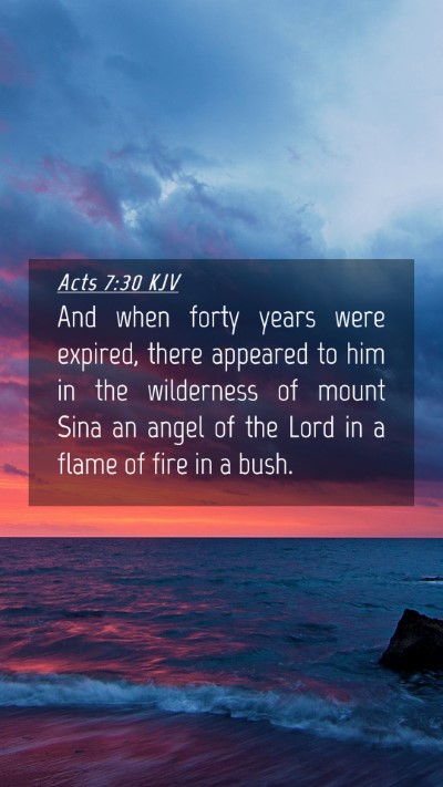 Picture 04 - Acts 7:30 KJV Mobile Phone Wallpaper - And when forty years were expired, there appeared - Mobile Bible Verse Wallpaper