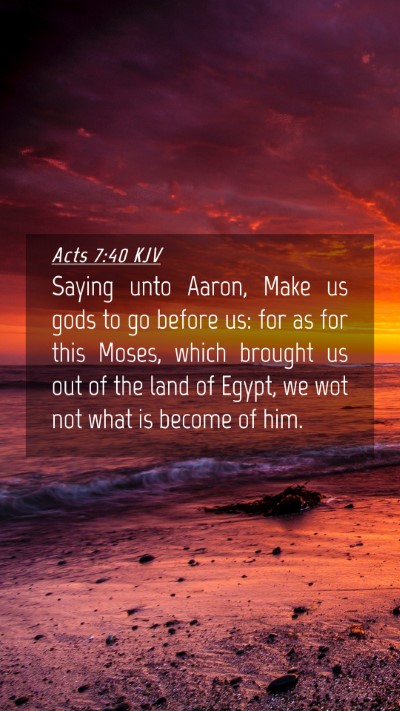 Picture 04 - Acts 7:40 KJV Mobile Phone Wallpaper - Saying unto Aaron, Make us gods to go before us: - Mobile Bible Verse Wallpaper