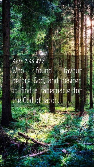 Picture 04 - Acts 7:46 KJV Mobile Phone Wallpaper - Who found favour before God, and desired to find - Mobile Bible Verse Wallpaper