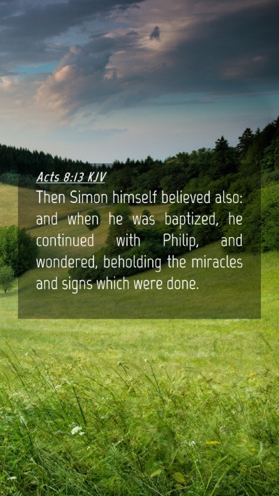 Picture 04 - Acts 8:13 KJV Mobile Phone Wallpaper - Then Simon himself believed also: and when he was - Mobile Bible Verse Wallpaper