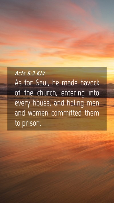 Picture 04 - Acts 8:3 KJV Mobile Phone Wallpaper - As for Saul, he made havock of the church, - Mobile Bible Verse Wallpaper