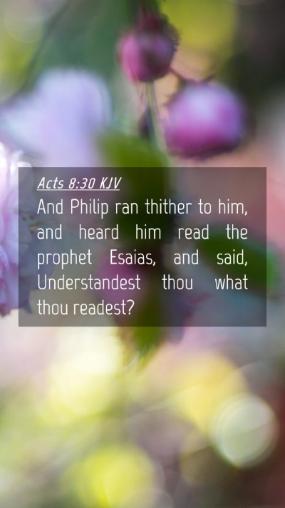 Picture 04 - Acts 8:30 KJV Mobile Phone Wallpaper - And Philip ran thither to him, and heard him read - Mobile Bible Verse Wallpaper