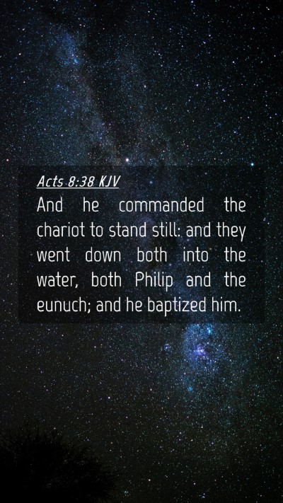Picture 04 - Acts 8:38 KJV Mobile Phone Wallpaper - And he commanded the chariot to stand still: and - Mobile Bible Verse Wallpaper