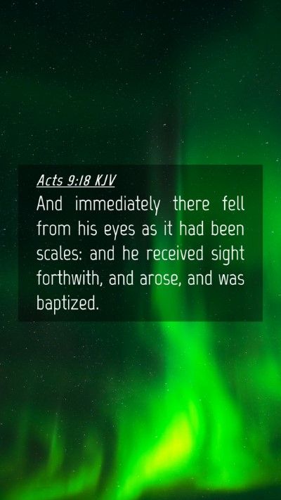 Picture 04 - Acts 9:18 KJV Mobile Phone Wallpaper - And immediately there fell from his eyes as it - Mobile Bible Verse Wallpaper