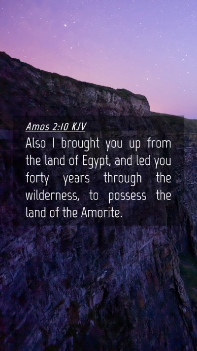 Picture 04 - Amos 2:10 KJV Mobile Phone Wallpaper - Also I brought you up from the land of Egypt, and - Mobile Bible Verse Wallpaper