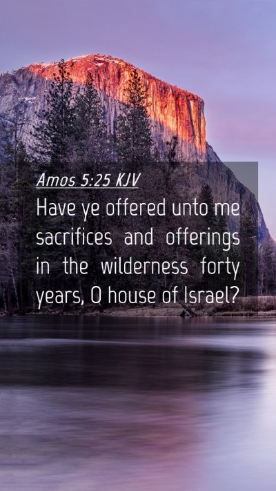 Picture 04 - Amos 5:25 KJV Mobile Phone Wallpaper - Have ye offered unto me sacrifices and offerings - Mobile Bible Verse Wallpaper