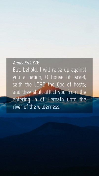 Picture 04 - Amos 6:14 KJV Mobile Phone Wallpaper - But, behold, I will raise up against you a - Mobile Bible Verse Wallpaper
