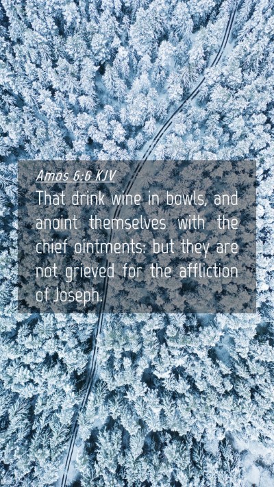 Picture 04 - Amos 6:6 KJV Mobile Phone Wallpaper - That drink wine in bowls, and anoint themselves - Mobile Bible Verse Wallpaper