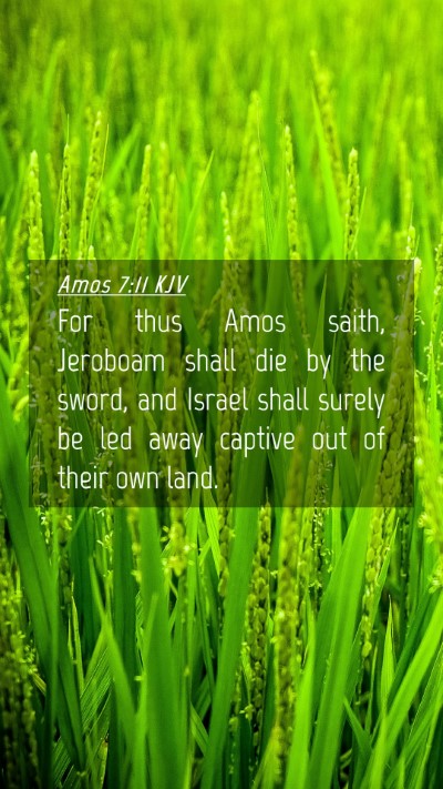Picture 04 - Amos 7:11 KJV Mobile Phone Wallpaper - For thus Amos saith, Jeroboam shall die by the - Mobile Bible Verse Wallpaper