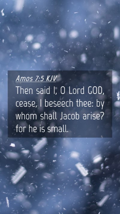 Picture 04 - Amos 7:5 KJV Mobile Phone Wallpaper - Then said I, O Lord GOD, cease, I beseech thee: - Mobile Bible Verse Wallpaper