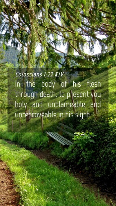 Picture 04 - Colossians 1:22 KJV Mobile Phone Wallpaper - In the body of his flesh through death, to - Mobile Bible Verse Wallpaper