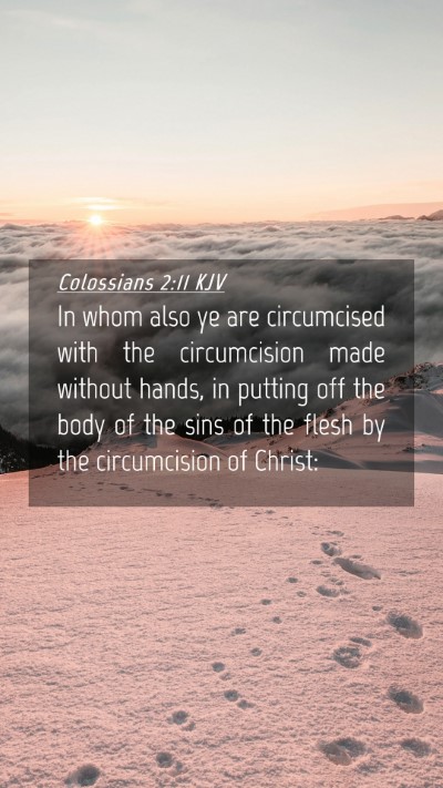 Picture 04 - Colossians 2:11 KJV Mobile Phone Wallpaper - In whom also ye are circumcised with the - Mobile Bible Verse Wallpaper
