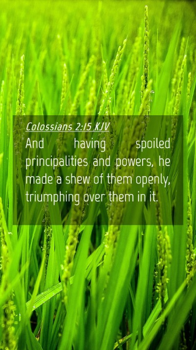 Picture 04 - Colossians 2:15 KJV Mobile Phone Wallpaper - And having spoiled principalities and powers, he - Mobile Bible Verse Wallpaper