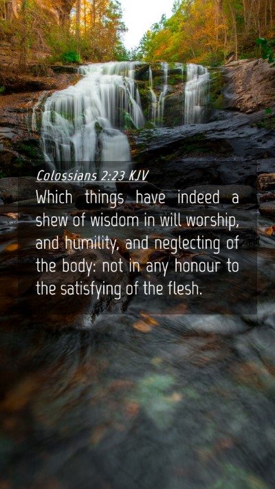 Picture 04 - Colossians 2:23 KJV Mobile Phone Wallpaper - Which things have indeed a shew of wisdom in will - Mobile Bible Verse Wallpaper