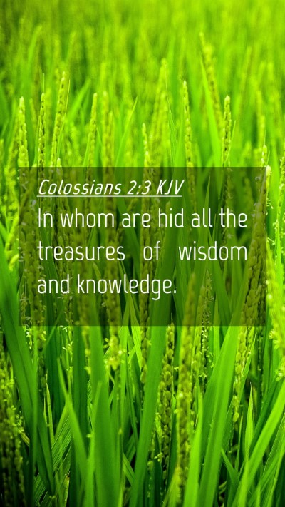 Picture 04 - Colossians 2:3 KJV Mobile Phone Wallpaper - In whom are hid all the treasures of wisdom and - Mobile Bible Verse Wallpaper