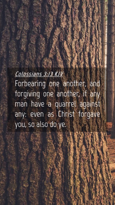 Picture 04 - Colossians 3:13 KJV Mobile Phone Wallpaper - Forbearing one another, and forgiving one - Mobile Bible Verse Wallpaper