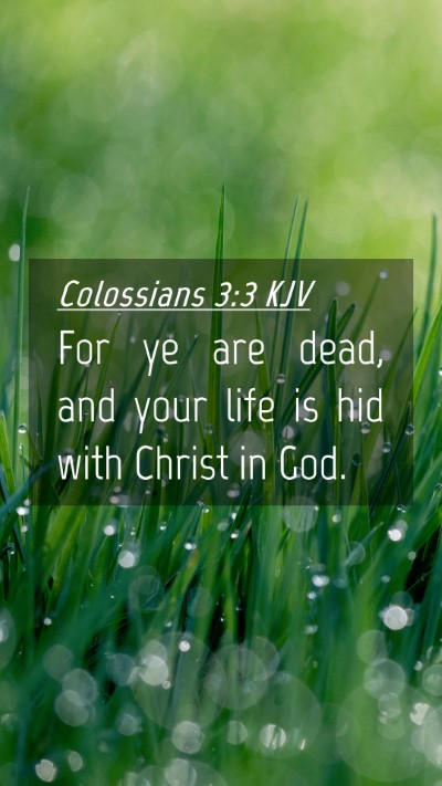Picture 04 - Colossians 3:3 KJV Mobile Phone Wallpaper - For ye are dead, and your life is hid with Christ - Mobile Bible Verse Wallpaper
