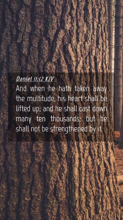 Picture 04 - Daniel 11:12 KJV Mobile Phone Wallpaper - And when he hath taken away the multitude, his - Mobile Bible Verse Wallpaper