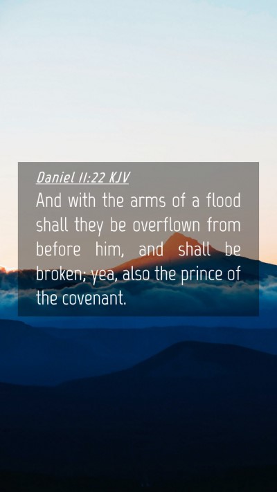 Picture 04 - Daniel 11:22 KJV Mobile Phone Wallpaper - And with the arms of a flood shall they be - Mobile Bible Verse Wallpaper