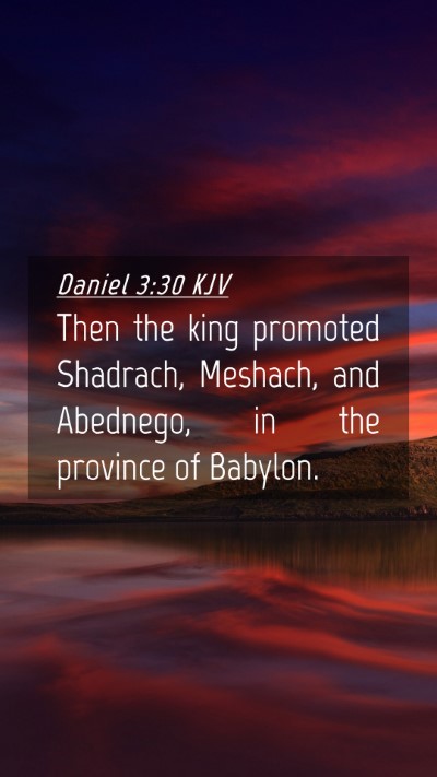 Picture 04 - Daniel 3:30 KJV Mobile Phone Wallpaper - Then the king promoted Shadrach, Meshach, and - Mobile Bible Verse Wallpaper
