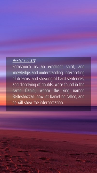 Picture 04 - Daniel 5:12 KJV Mobile Phone Wallpaper - Forasmuch as an excellent spirit, and knowledge, - Mobile Bible Verse Wallpaper