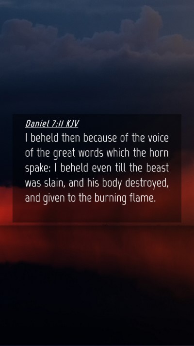 Picture 04 - Daniel 7:11 KJV Mobile Phone Wallpaper - I beheld then because of the voice of the great - Mobile Bible Verse Wallpaper