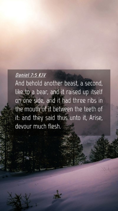 Picture 04 - Daniel 7:5 KJV Mobile Phone Wallpaper - And behold another beast, a second, like to a - Mobile Bible Verse Wallpaper