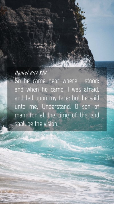 Picture 04 - Daniel 8:17 KJV Mobile Phone Wallpaper - So he came near where I stood: and when he came, - Mobile Bible Verse Wallpaper