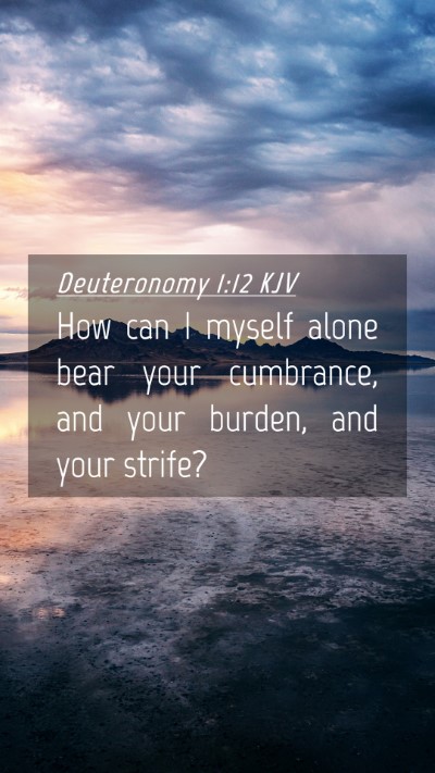 Picture 04 - Deuteronomy 1:12 KJV Mobile Phone Wallpaper - How can I myself alone bear your cumbrance, and - Mobile Bible Verse Wallpaper