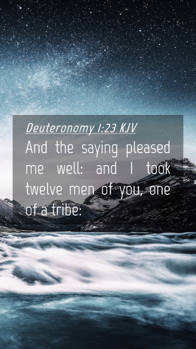 Picture 04 - Deuteronomy 1:23 KJV Mobile Phone Wallpaper - And the saying pleased me well: and I took twelve - Mobile Bible Verse Wallpaper