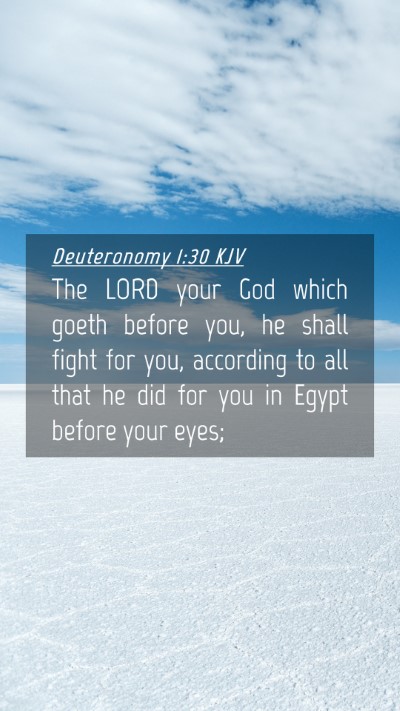 Picture 04 - Deuteronomy 1:30 KJV Mobile Phone Wallpaper - The LORD your God which goeth before you, he - Mobile Bible Verse Wallpaper