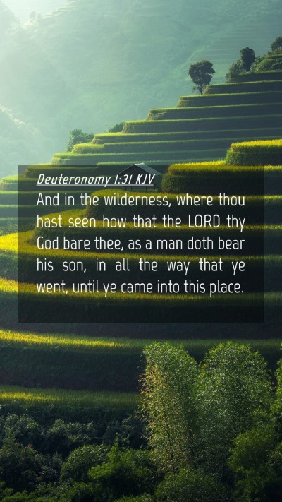 Picture 04 - Deuteronomy 1:31 KJV Mobile Phone Wallpaper - And in the wilderness, where thou hast seen how - Mobile Bible Verse Wallpaper
