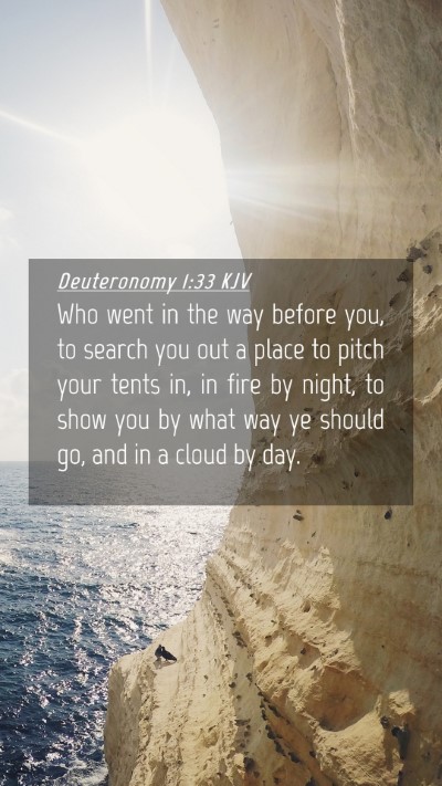 Picture 04 - Deuteronomy 1:33 KJV Mobile Phone Wallpaper - Who went in the way before you, to search you out - Mobile Bible Verse Wallpaper