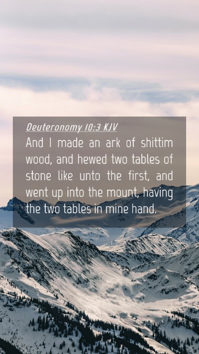 Picture 04 - Deuteronomy 10:3 KJV Mobile Phone Wallpaper - And I made an ark of shittim wood, and hewed two - Mobile Bible Verse Wallpaper