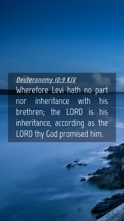 Picture 04 - Deuteronomy 10:9 KJV Mobile Phone Wallpaper - Wherefore Levi hath no part nor inheritance with - Mobile Bible Verse Wallpaper