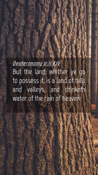 Picture 04 - Deuteronomy 11:11 KJV Mobile Phone Wallpaper - But the land, whither ye go to possess it, is a - Mobile Bible Verse Wallpaper