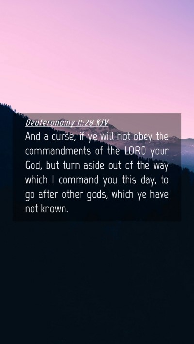 Picture 04 - Deuteronomy 11:28 KJV Mobile Phone Wallpaper - And a curse, if ye will not obey the commandments - Mobile Bible Verse Wallpaper