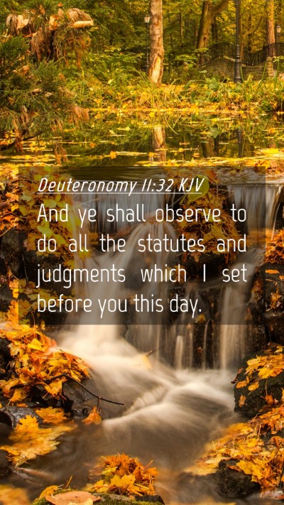 Picture 04 - Deuteronomy 11:32 KJV Mobile Phone Wallpaper - And ye shall observe to do all the statutes and - Mobile Bible Verse Wallpaper