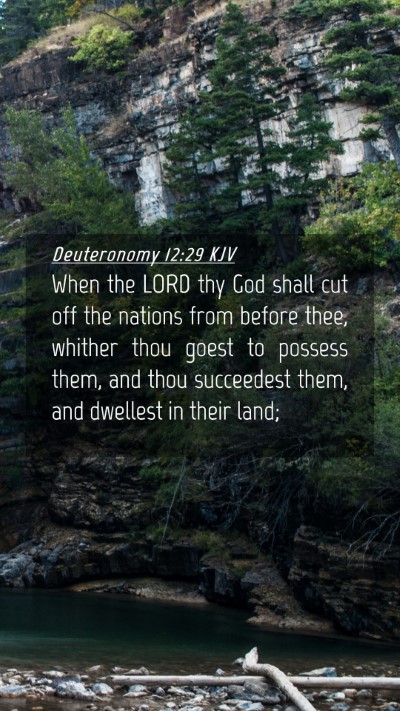 Picture 04 - Deuteronomy 12:29 KJV Mobile Phone Wallpaper - When the LORD thy God shall cut off the nations - Mobile Bible Verse Wallpaper