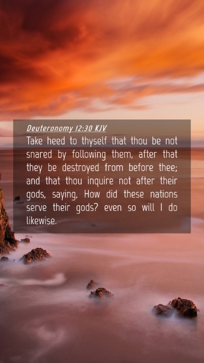 Picture 04 - Deuteronomy 12:30 KJV Mobile Phone Wallpaper - Take heed to thyself that thou be not snared by - Mobile Bible Verse Wallpaper