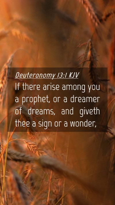 Picture 04 - Deuteronomy 13:1 KJV Mobile Phone Wallpaper - If there arise among you a prophet, or a dreamer - Mobile Bible Verse Wallpaper
