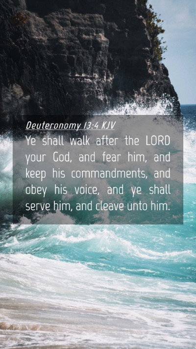Picture 04 - Deuteronomy 13:4 KJV Mobile Phone Wallpaper - Ye shall walk after the LORD your God, and fear - Mobile Bible Verse Wallpaper